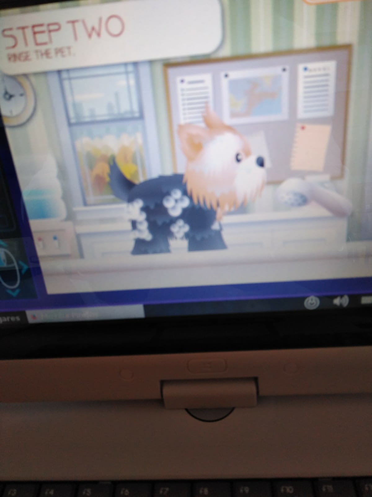 perrito