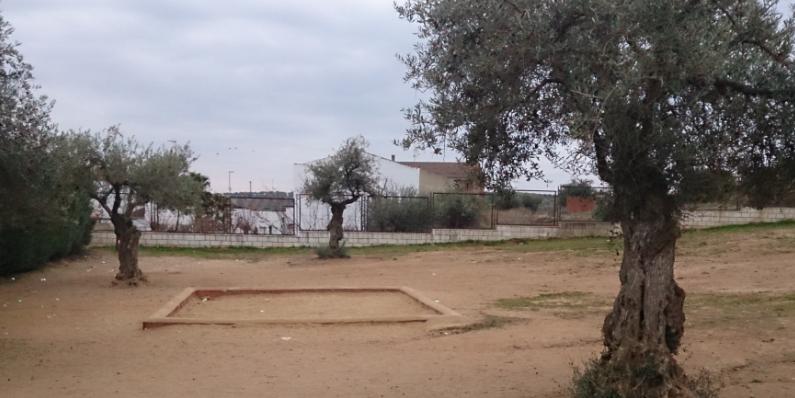 patio 02