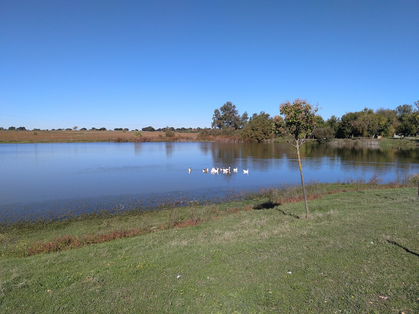 IMG 20211105 115114 757