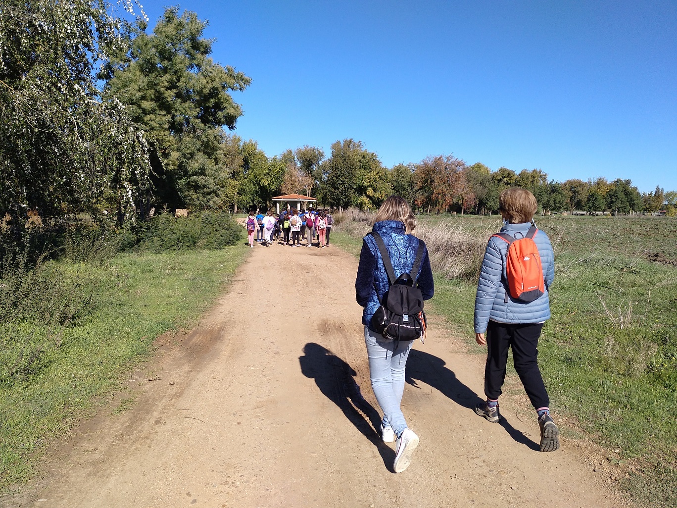 IMG 20211105 115220 853