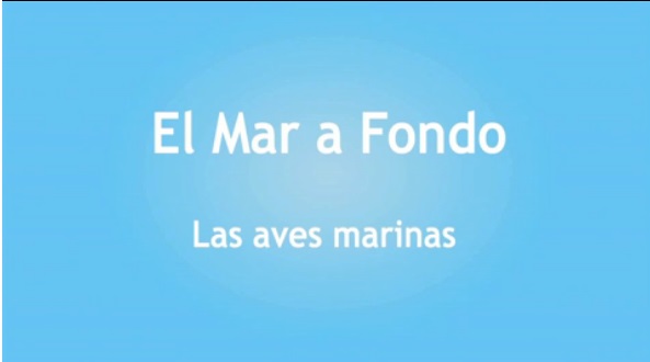 Logo-video-aves marinas