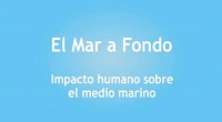 Logo-vídeo-impacto humano