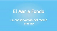 Logo-vídeo-la conservación del medio marino