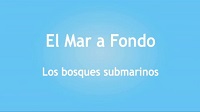 Logo-video-los bosques marinos