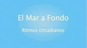 Logo-vídeo-ritmos circadianos