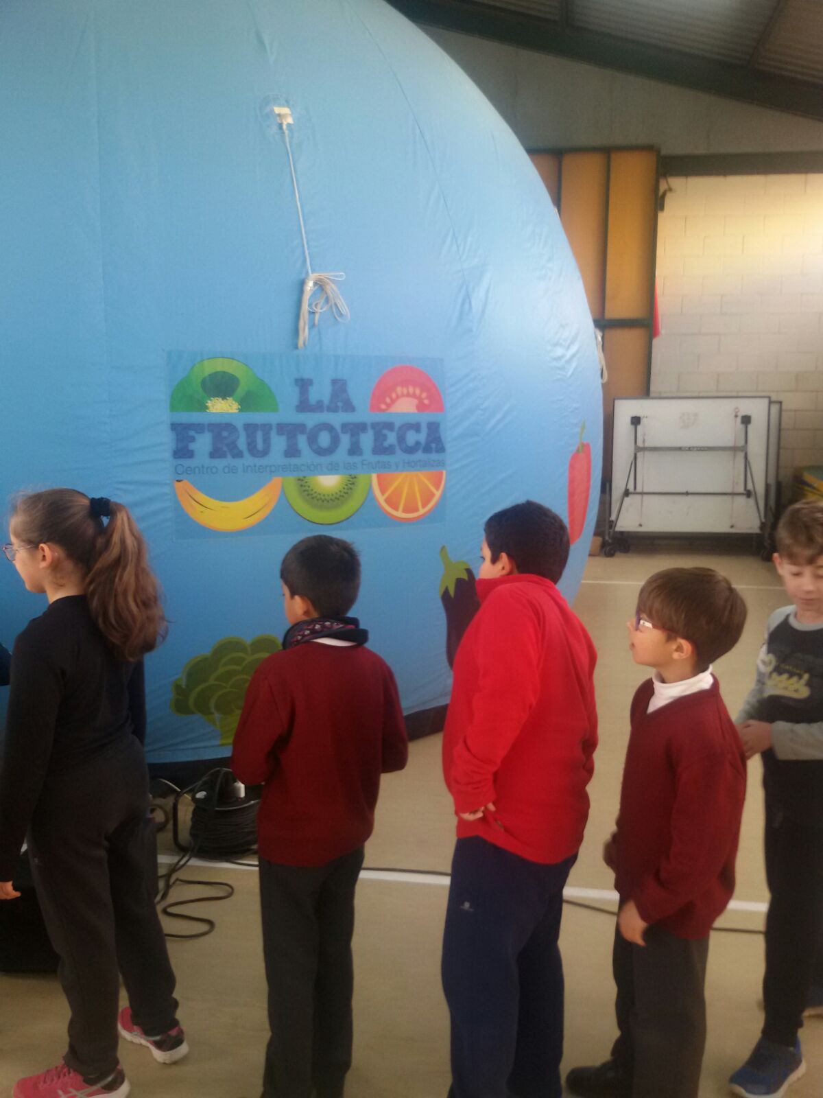Frutoteca 2017 01