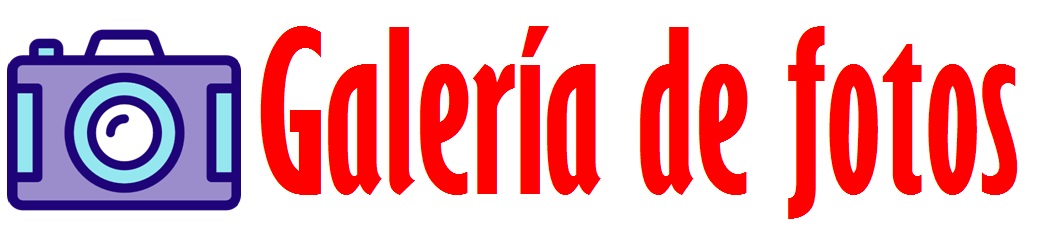 logo galería fotos