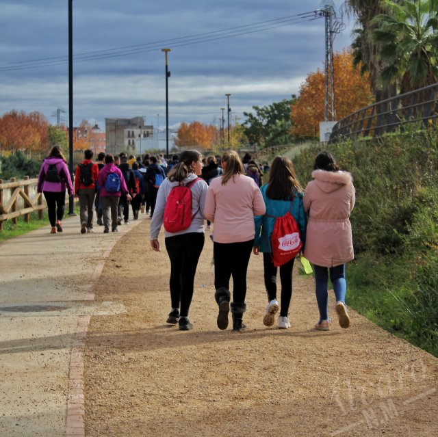 activiad intercentros 2019 reducidas (2)