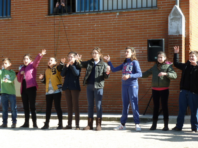 paz8b