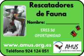 RESCATADORES 4