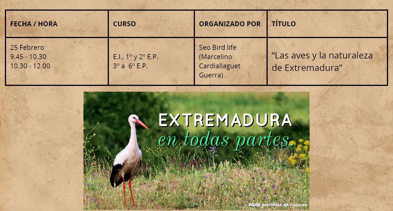 73bb43ec-9ef7-4f32-b223-41fa6472548f.jpg
