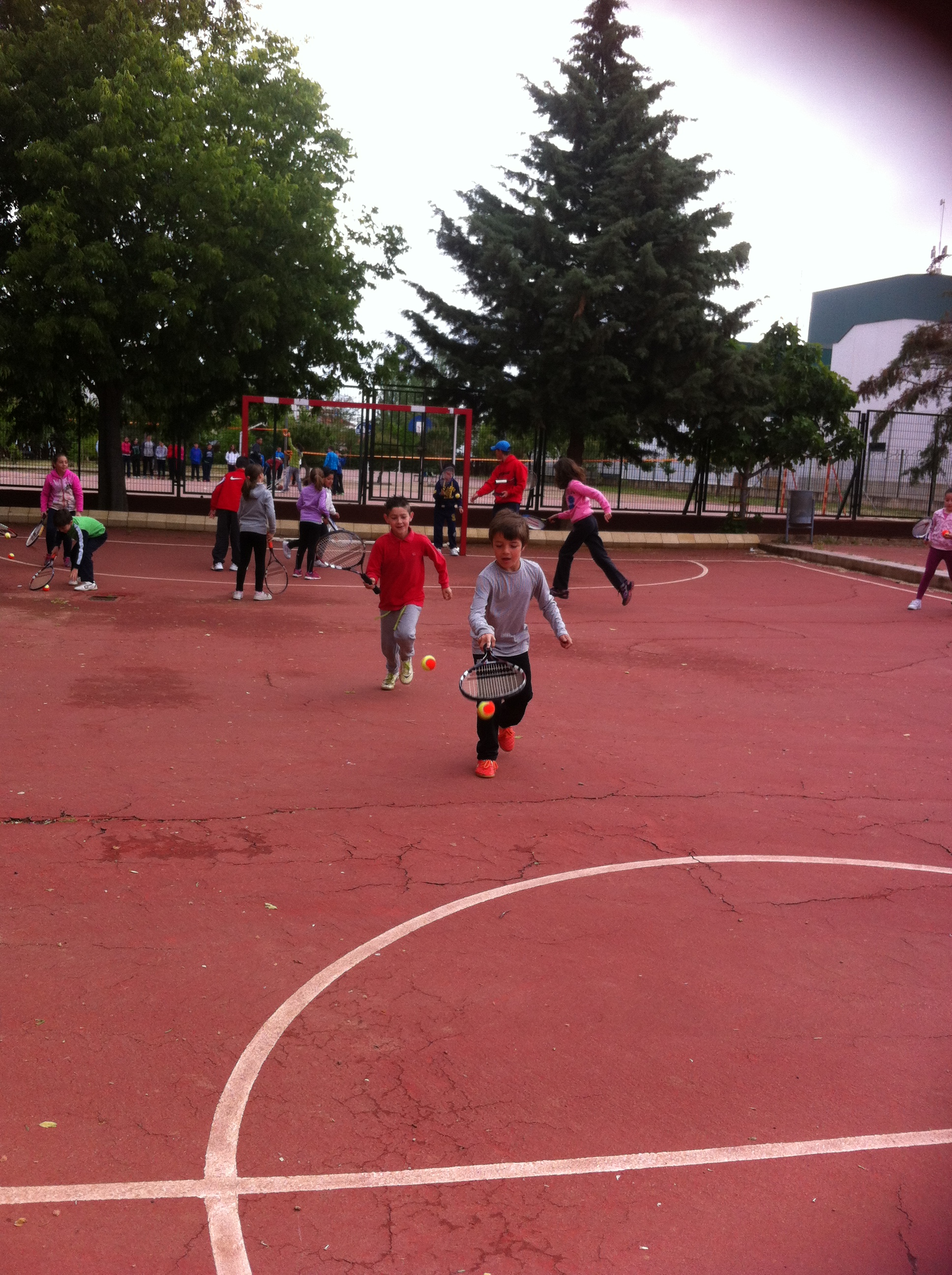 IMG 3473