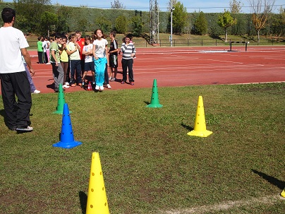 P1013882-1