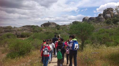 resized IMG-20130516-WA0003