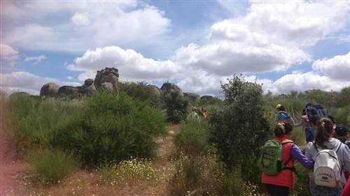 resized IMG-20130516-WA0005