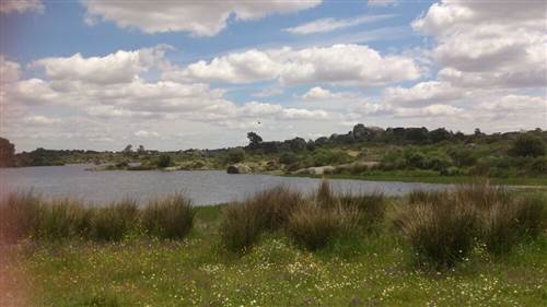 resized IMG-20130516-WA0007