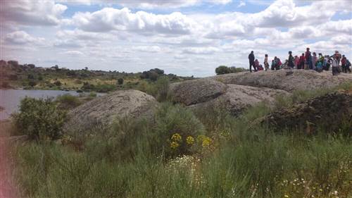 resized IMG-20130516-WA0013