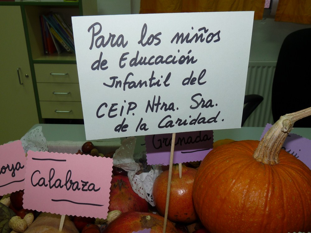 P1120208