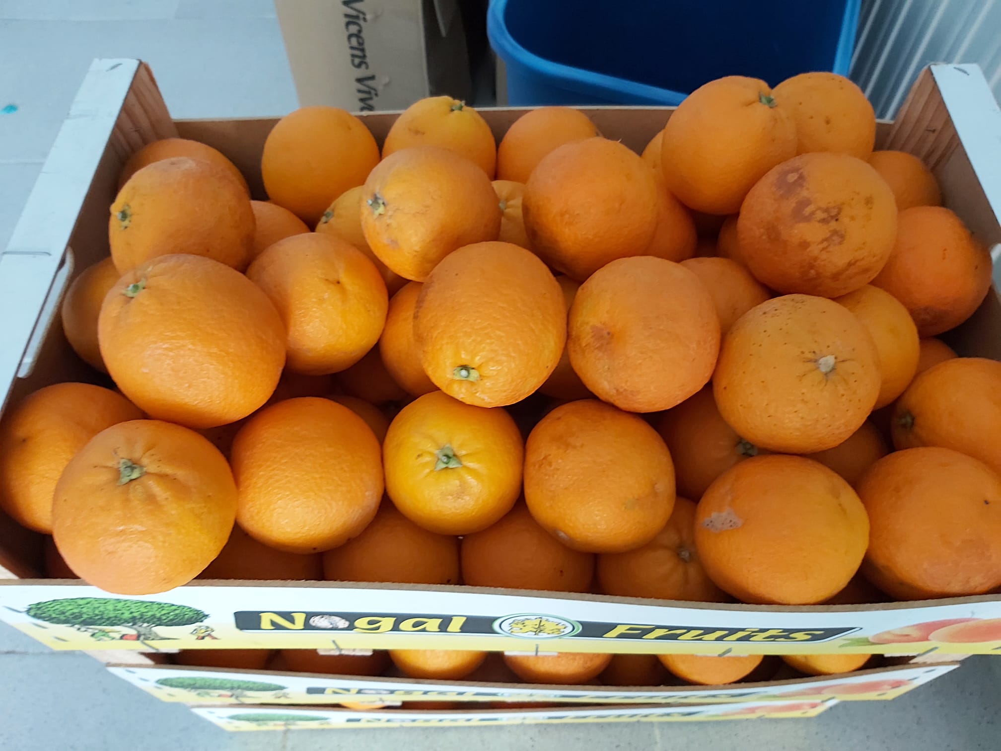 Naranjas