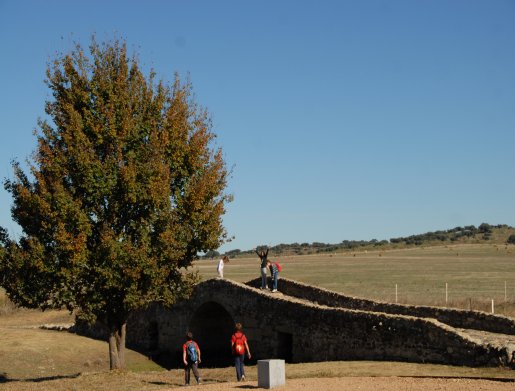 32.Puente_de_santiago