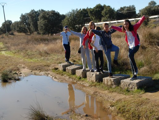 6._Garzas_o_Pavas_en_el_camino