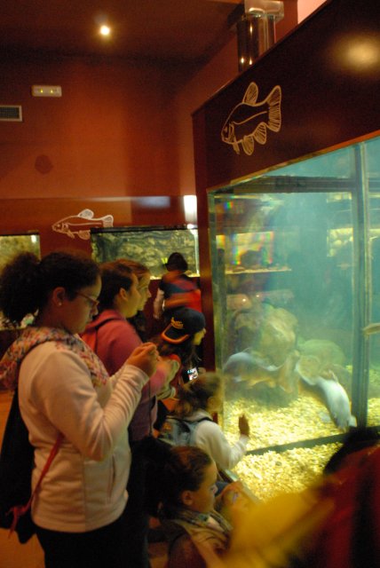 piscifactoria quinto 2013 3