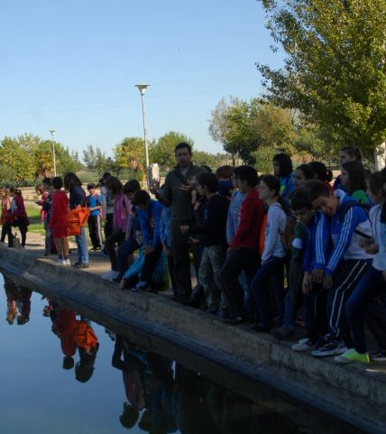 piscifactoria quinto 2013 30