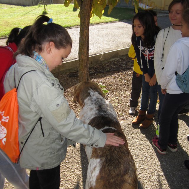 piscifactoria quinto 2013 34