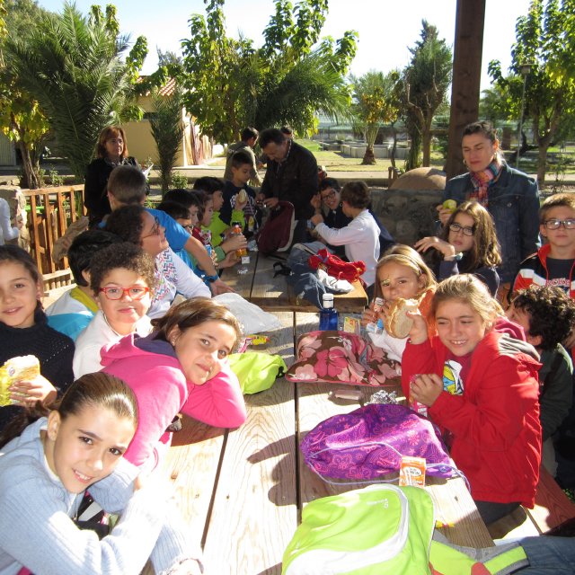 piscifactoria quinto 2013 39