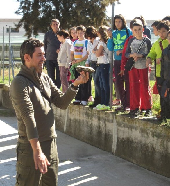 piscifactoria quinto 2013 45