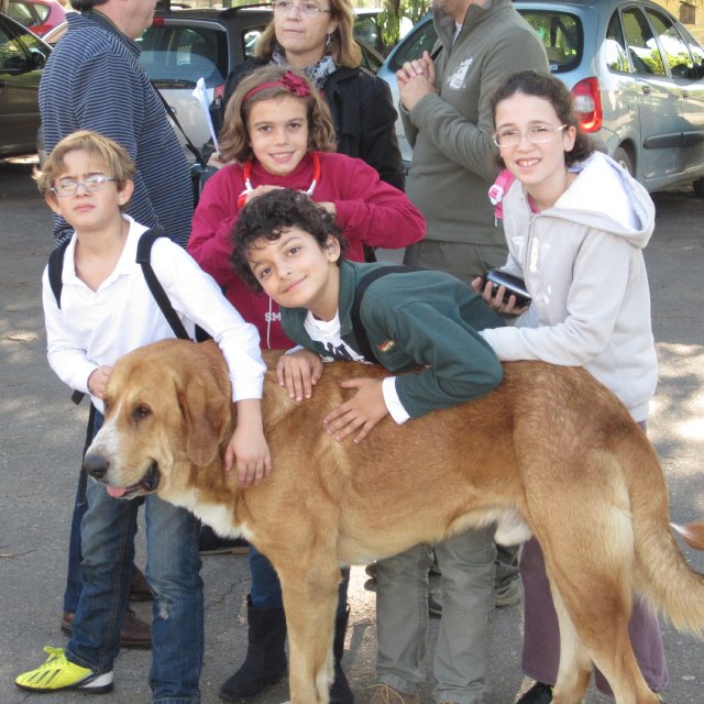 piscifactoria quinto 2013 50