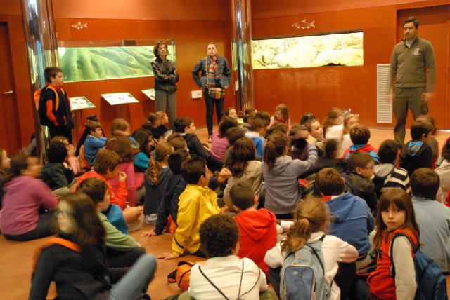 piscifactoria quinto 2013 6