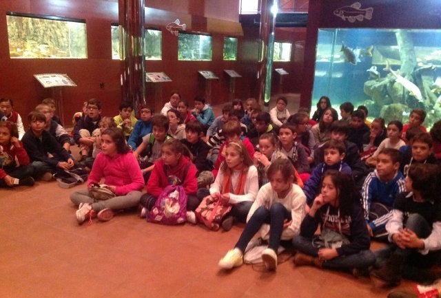 piscifactoria quinto 2013 1