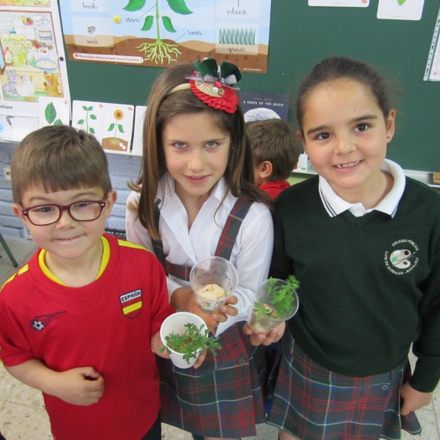 plants 1º 10