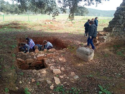 IMG 20170209 120903 opt