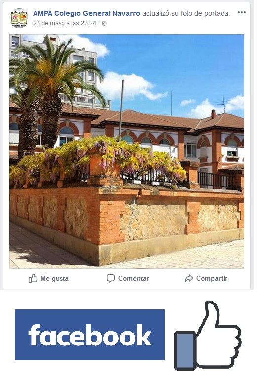 Perfil facebook AMPA