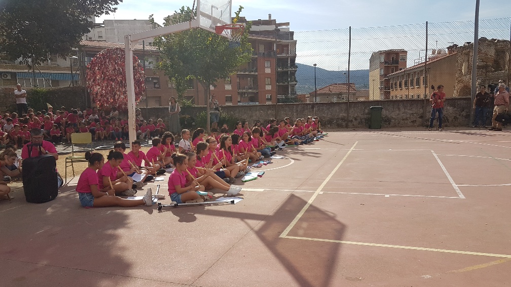 20191011 115449 resized 1