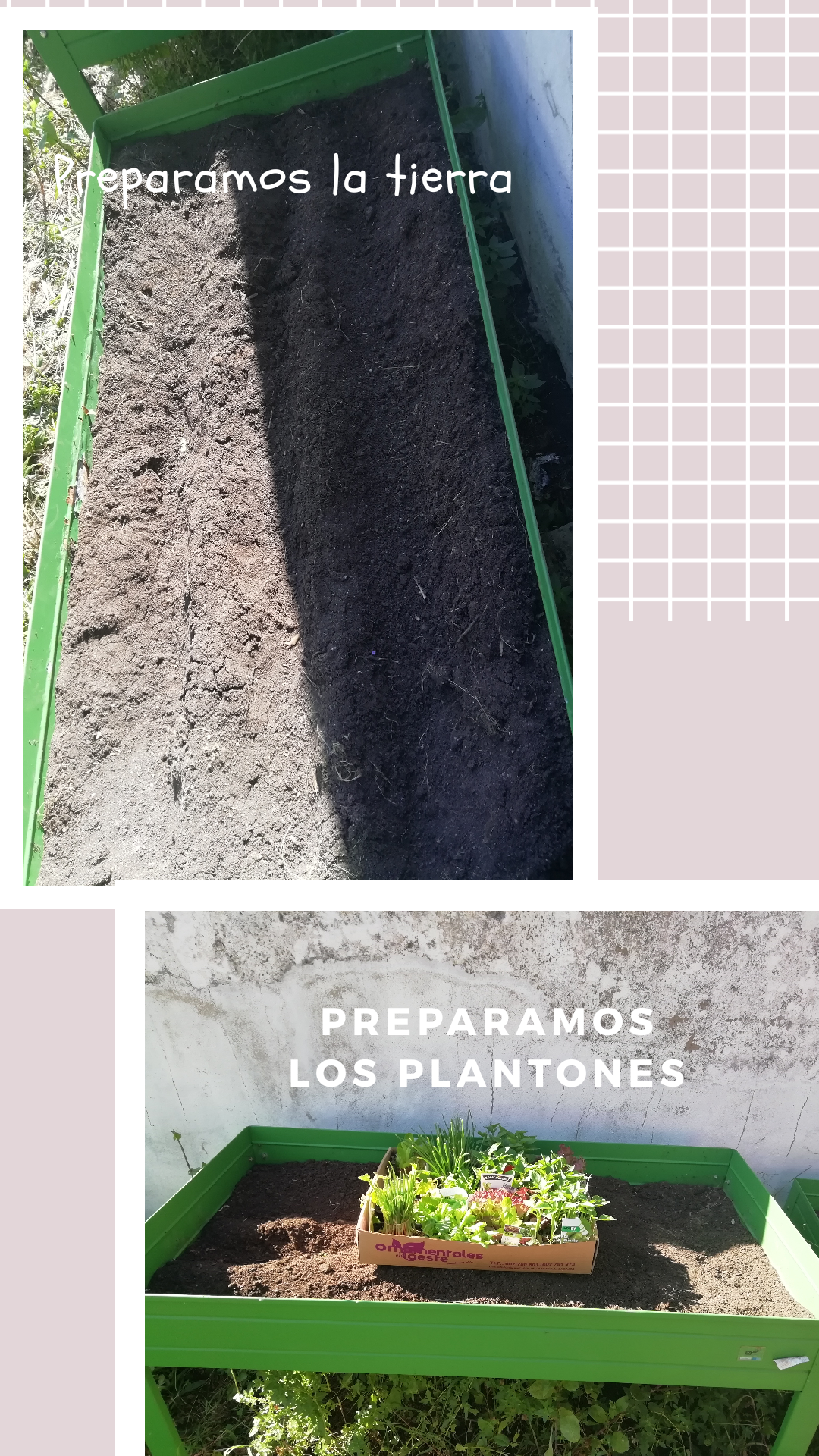 20190328 105233 0001