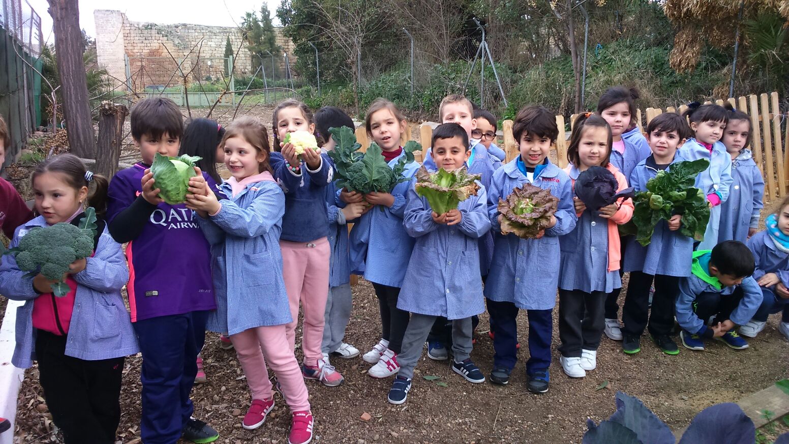 2017 02 20 PHOTO 00000004