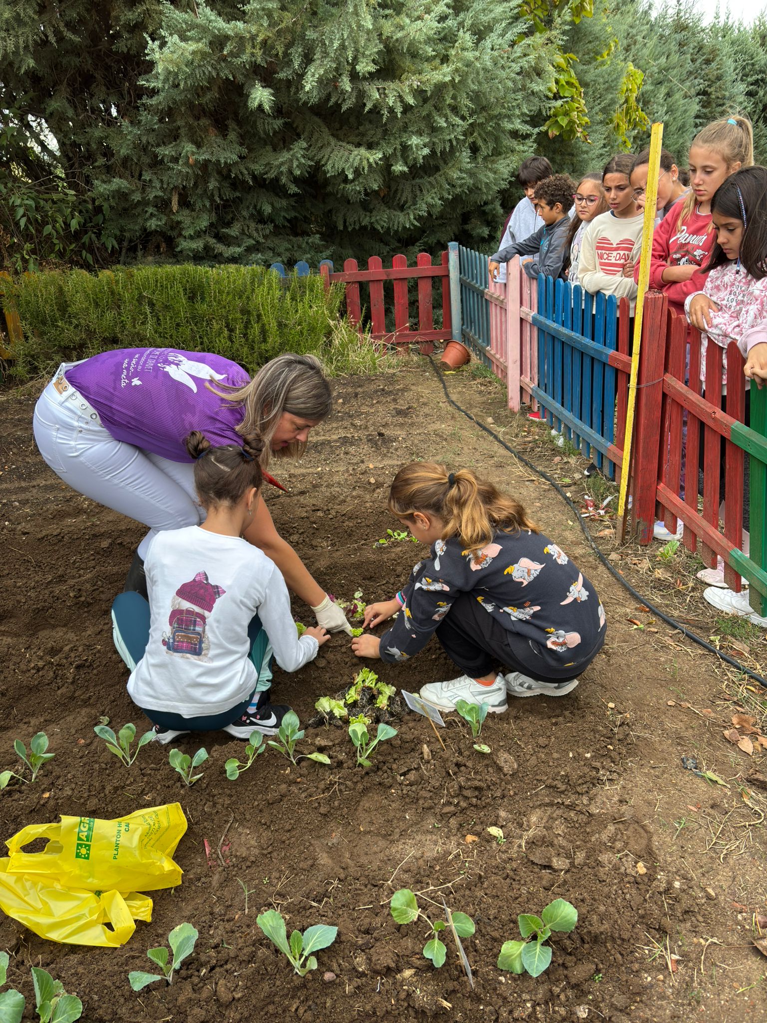 WhatsApp Image 2024 10 11 at 11.22.40