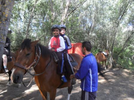 03Caballos 7