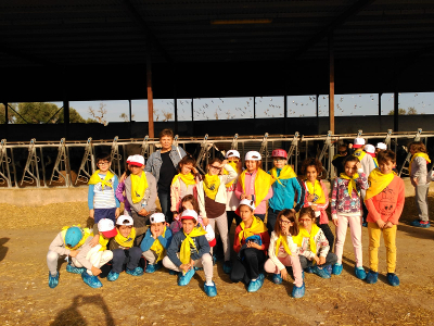 excursion casar 3 y 4.1