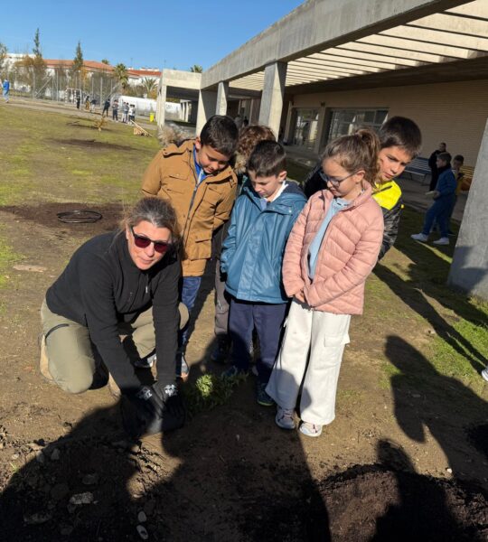 FORESTACIÓN DE NUESTRO PATIO