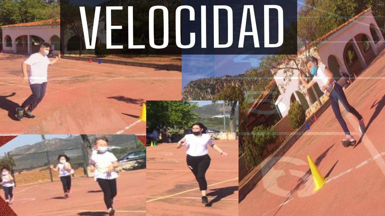 velocidad.jpg