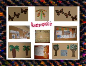 exposicion