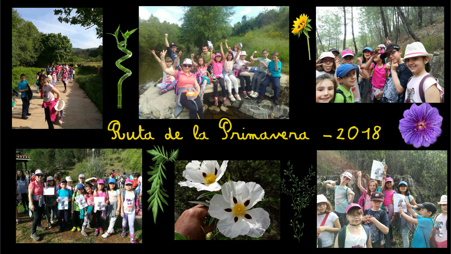 ruta primavera 18