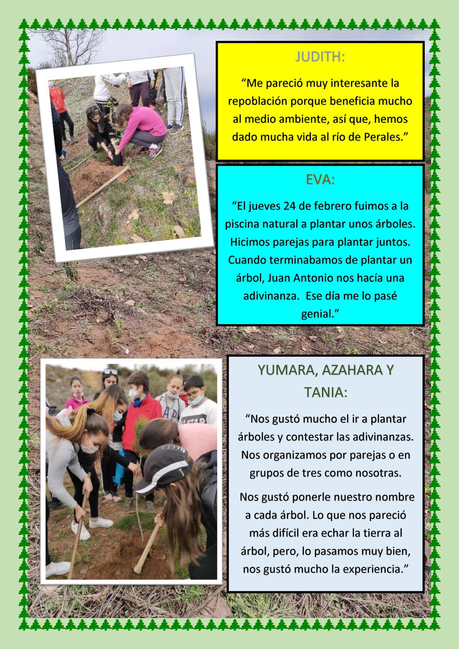 reforesta 0003r