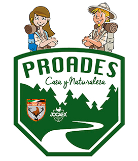 PROADESICO