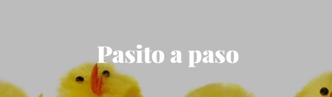 Blog Pasito a paso