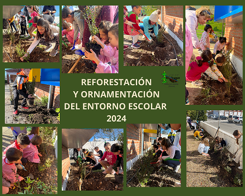 REFORESTACION DEL ENTORNO ESCOLAR